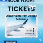 Chicago to Miami Flights – Best Deals, Travel Tips & Booking Guide (FareArena)