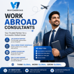 Top Study Abroad Consultants in India: What Students Should Really Look For