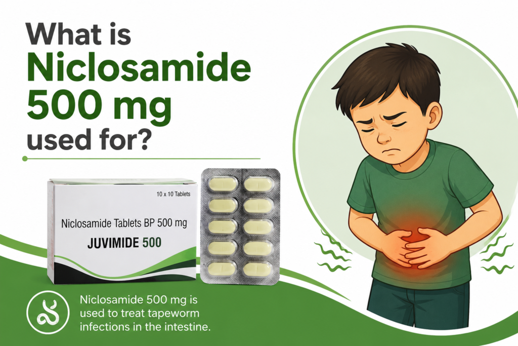 How does Niclosamide 500mg work against parasites?