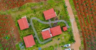 Benefits of Investing in Managed Farmland for Sale with Hosachiguru