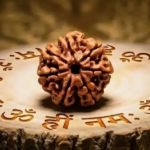 7 Mukhi Rudraksha: Benefits, Meaning & Why People Wear