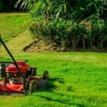 Wind River Lawn and Garden LLC | Professional Pruning and Trimming Services in Riverton, WY