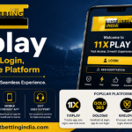 Get Your 11xplay Cricket Betting ID at bestbettingindia.com