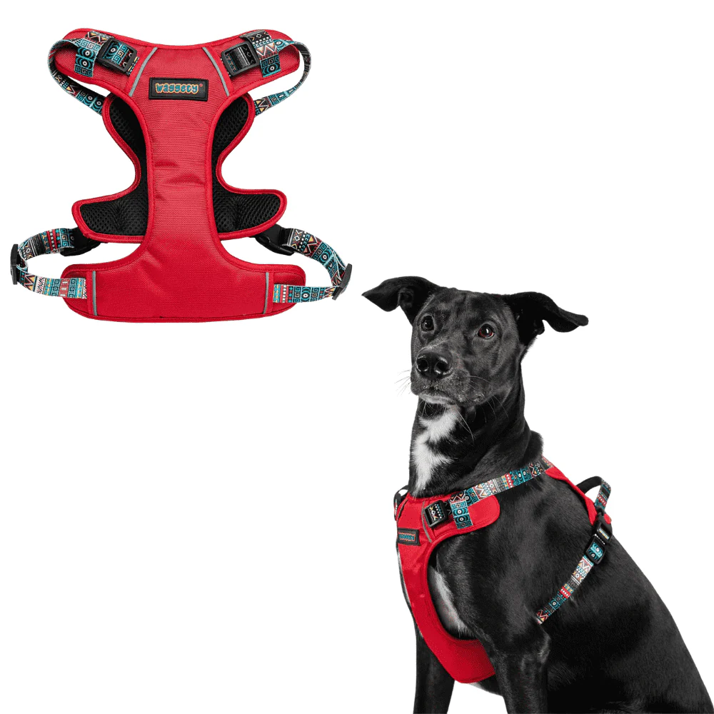 How to Choose the Right Dog Harness for Your Dog