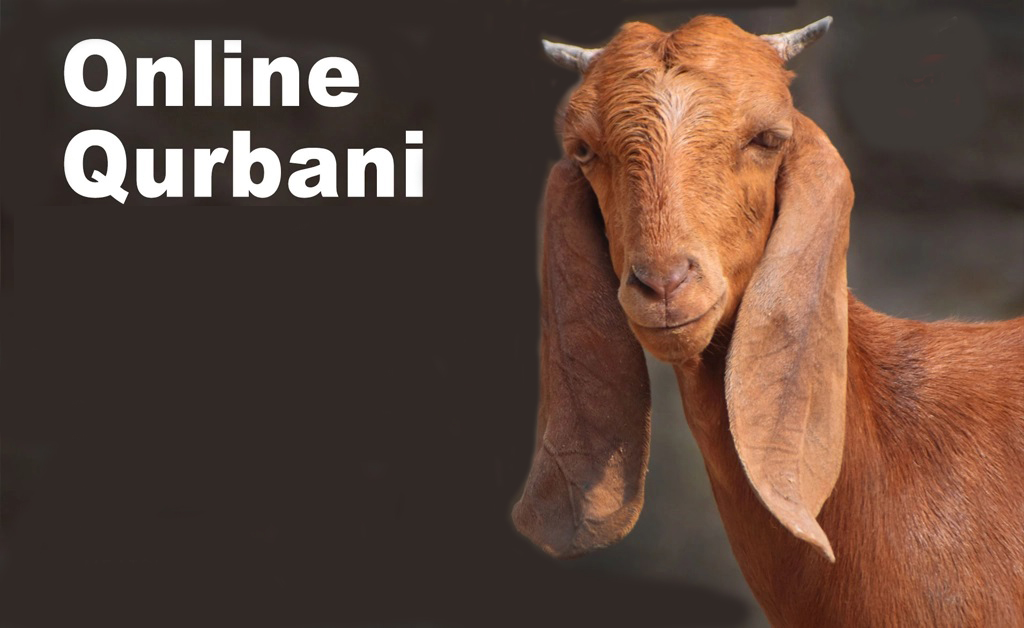 Easy Ways to Book Qurbani Online in Karachi