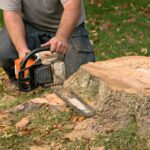 Tree Stump Removal Services: Improve the Safety and Beauty of Your Landscape