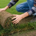 Instant Transformation Professional Landscaping and Sod Installation Near Me