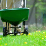 Illuminating Excellence: Professional Landscape Lighting Installation