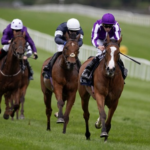 Guide to India Horse Race Fixtures and Major Racing Events