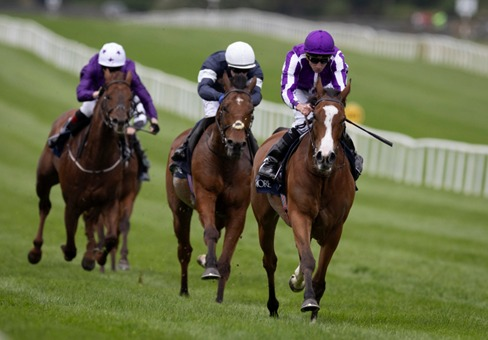 Guide to India Horse Race Fixtures and Major Racing Events