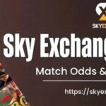 Sky Exchange Odds Guide: Understanding Live Betting Odds in 2026 Dhule