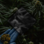 That’s Doap Is Redefining Premium Cannabis Culture in Vancouver.