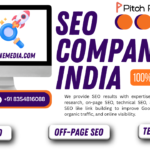 Transform Your Digital Growth with Professional SEO Solutions