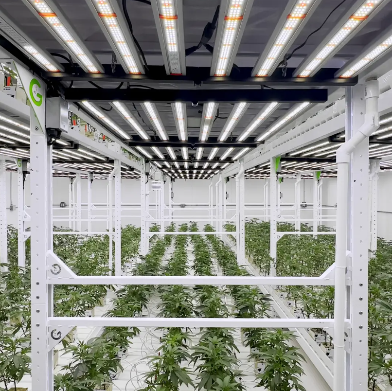 The Ultimate Guide to Cannabis Cultivation Facility Design