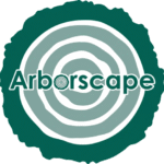 Site Clearance Services in Cumbria – Professional Land Preparation by Arboscapeuk