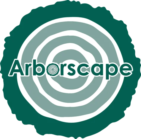 Site Clearance Services in Cumbria – Professional Land Preparation by Arboscapeuk
