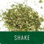Cheap Weed Delivery Toronto – Fast & Affordable Options