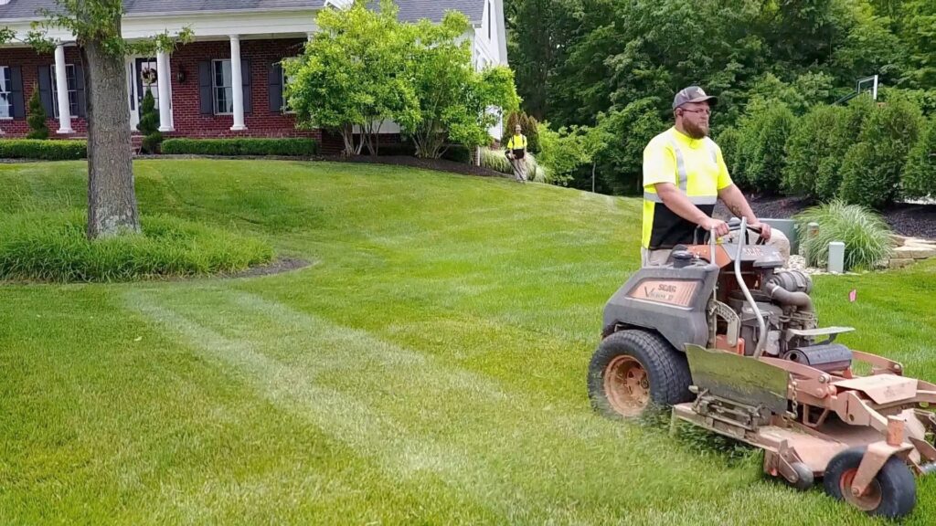 How Professional Lawn Care Services Keep Your Grass Healthy Year-Round?