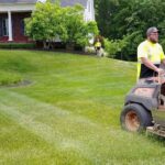 How Professional Lawn Care Services Keep Your Grass Healthy Year-Round?