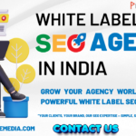 Expert White Label SEO Agency in India for Agencies