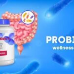 Probiotic Manufacturers and Suppliers – Delivering Quality Solutions for a Healthier Future