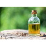 Saw Palmetto Oil Wholesale and Bulk Supplier for Premium Quality Oil
