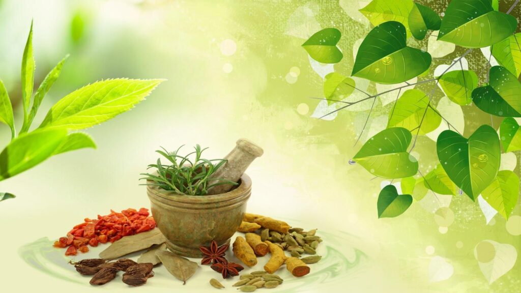 PCOD Problem Treatment in Ayurveda in Pune: A Complete Guide to Natural Healing