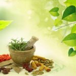 PCOD Problem Treatment in Ayurveda in Pune: A Complete Guide to Natural Healing
