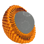 Better Health with Liposomal Nutrition
