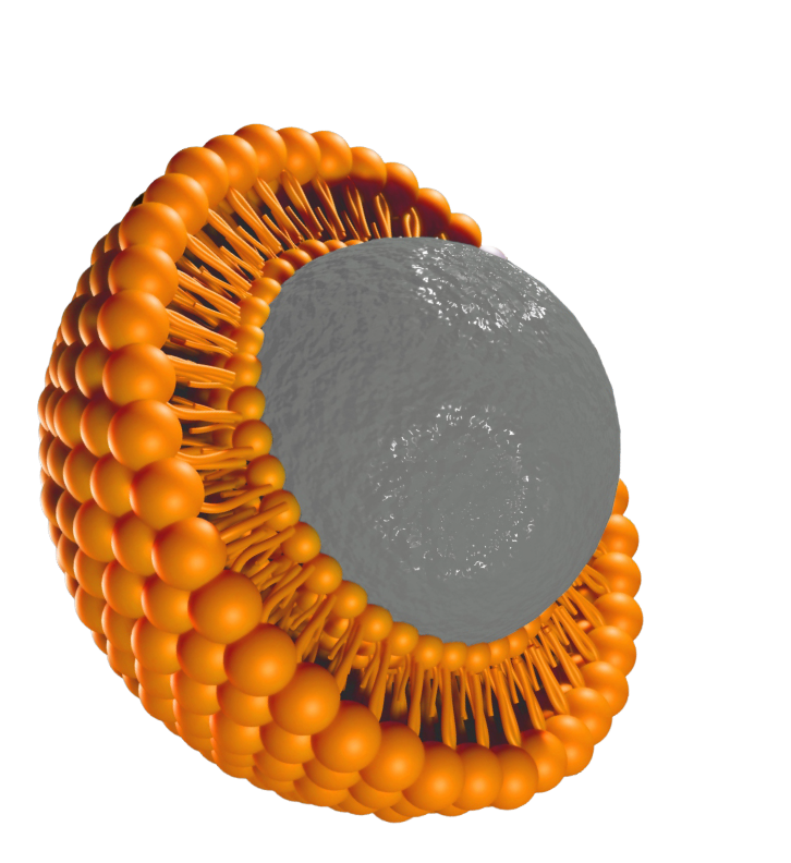 Better Health with Liposomal Nutrition