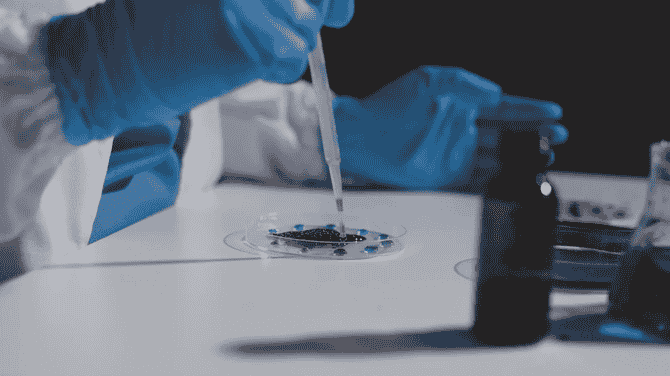 How AI Supports Drug Discovery and Experimental Approaches