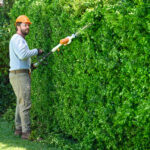 Hedge Trimming Services That Transform Your Garden Fast?