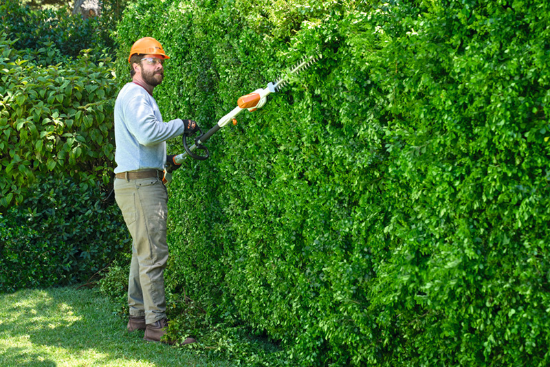 Hedge Trimming Services That Transform Your Garden Fast?