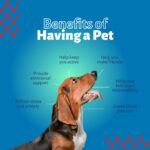 Benefits of Having a Dog for a Better Life