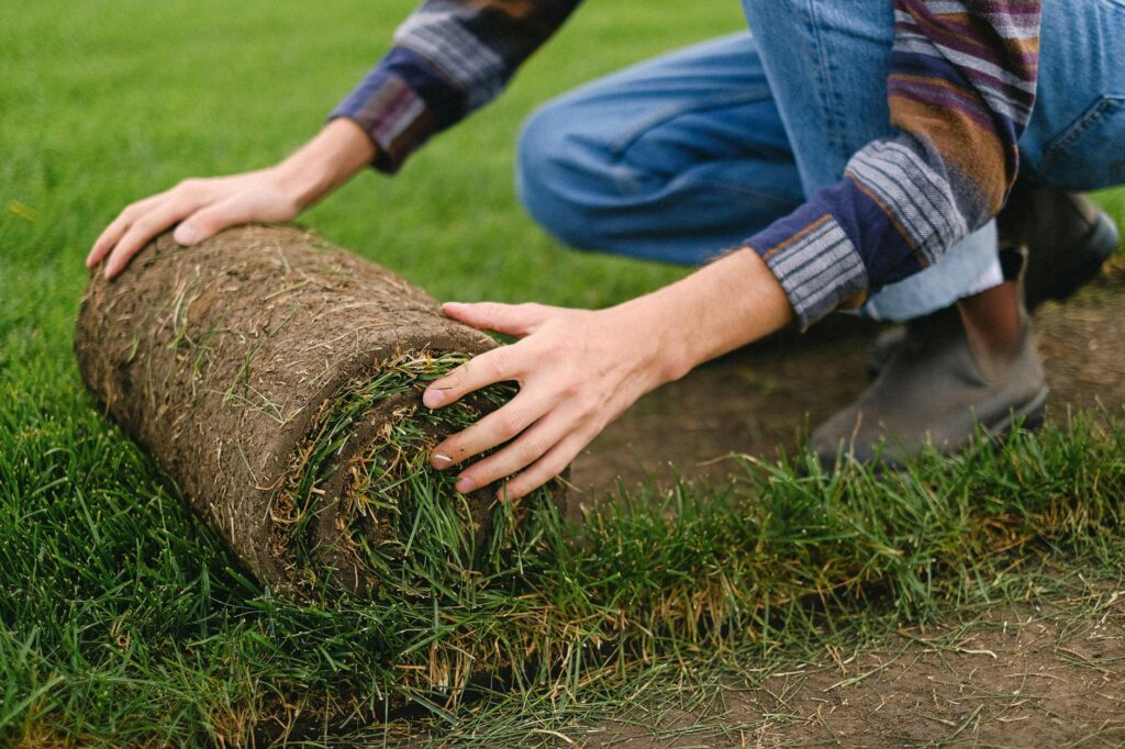 The Ultimate Homeowner’s Guide to Bermuda Sod Installation Cost