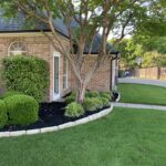 Transparent Project Planning Maximizing Value with a Free Landscape Estimate