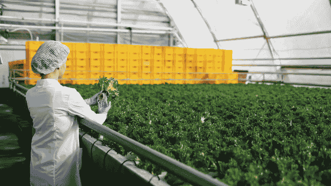 How Retailers Manage Food Supply Chains Beyond Agricultural Production