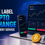 Why Choosing a Trusted White Label Crypto Exchange Provider Feels Difficult Today?