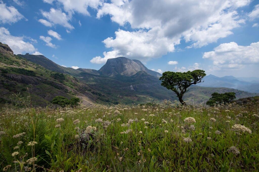 Mozambique Entry Rules for Ecuador Passport Holders