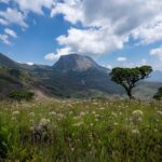 Mozambique Entry Rules for Ecuador Passport Holders