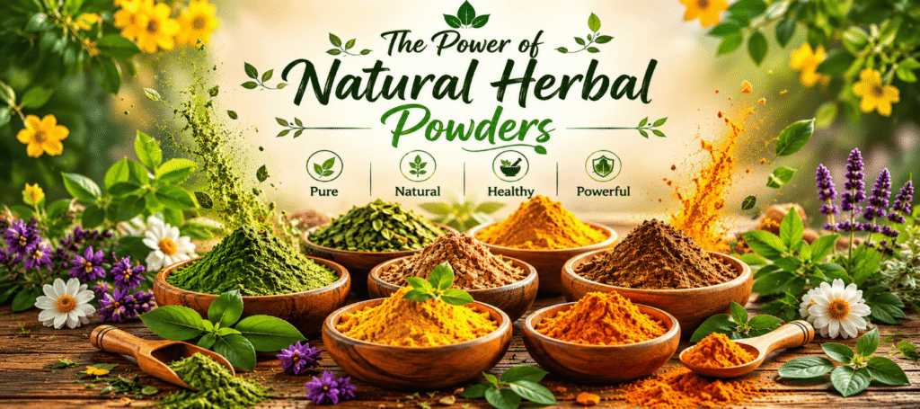 Discover the Power of Natural Herbal Powders