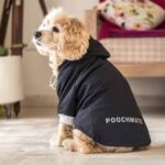 Dog Clothes for Winter: Keeping Your Pet Warm, Comfortable, and Stylish