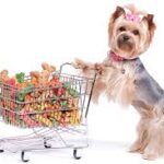 Buy Pet Accessories Online for Better Pet Care and Comfort