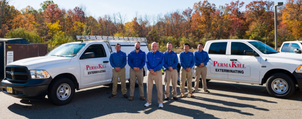 Why Your Brand New Construction Home Is Extremely Vulnerable to Pests