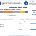 Global Collagen and Gelatin Market to Reach New Heights by 2032 Amid Wellness and Beauty Trends