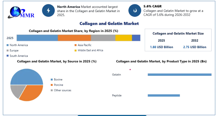 Global Collagen and Gelatin Market to Reach New Heights by 2032 Amid Wellness and Beauty Trends