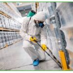 Termite Control Services in Lahore for Complete Property Protection