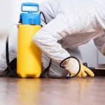 Termite Control Services in Lahore for Lasting Home Protection