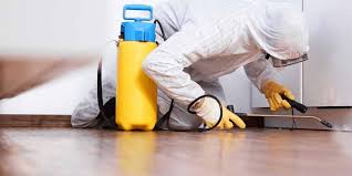 Termite Control Services in Lahore for Lasting Home Protection
