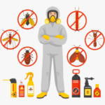 Termite Control Services in Lahore – Complete Protection for Homes and Buildings